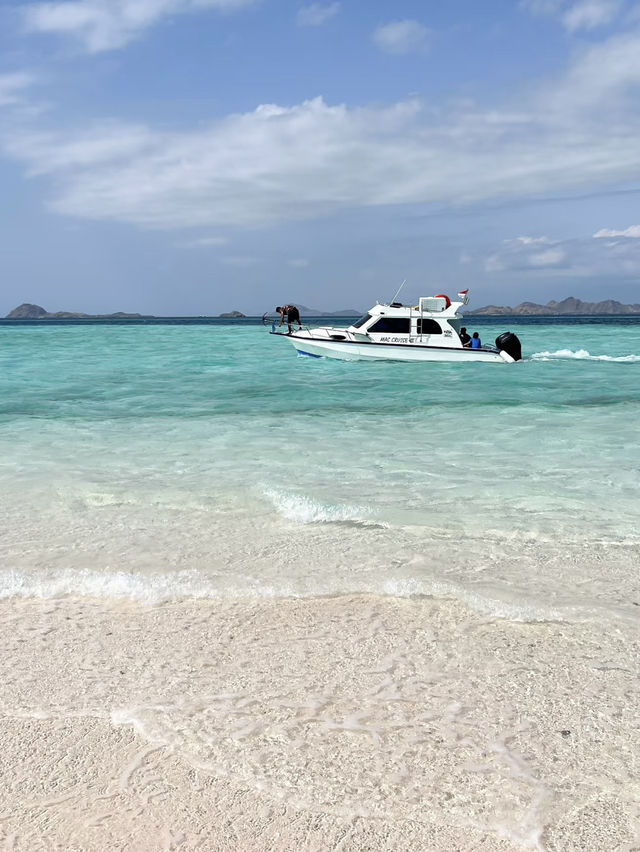 Komodo Island: A Wild Paradise of Dragons and Untouched Beauty