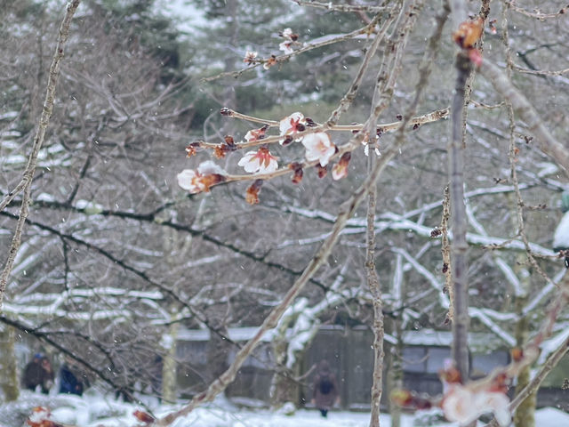 สวนเคนโรคุเอ็น Kenrokuen