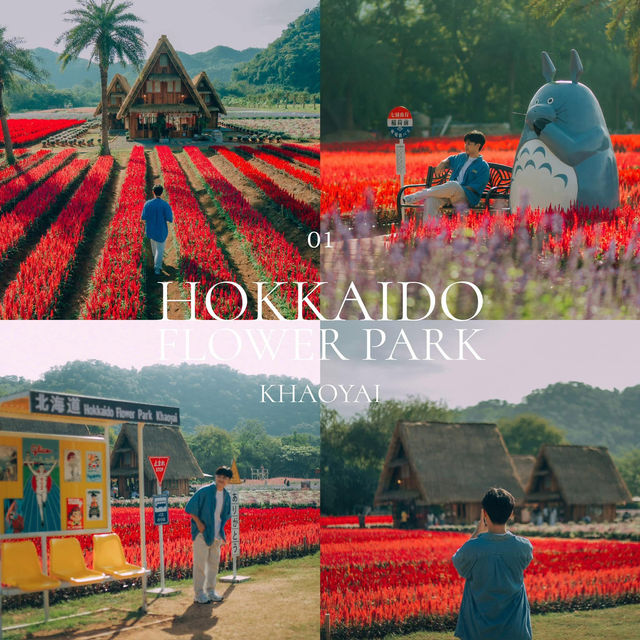 แจนแพลนเที่ยวเขาใหญ่ แบบ 1 Day Trip ✨