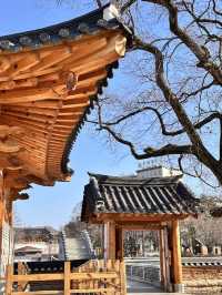 전주 여행가면 꼭 가봐야할 덕진 공원과 연화정도서관