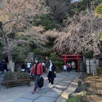  鎌倉の西方極楽浄土『長谷寺』