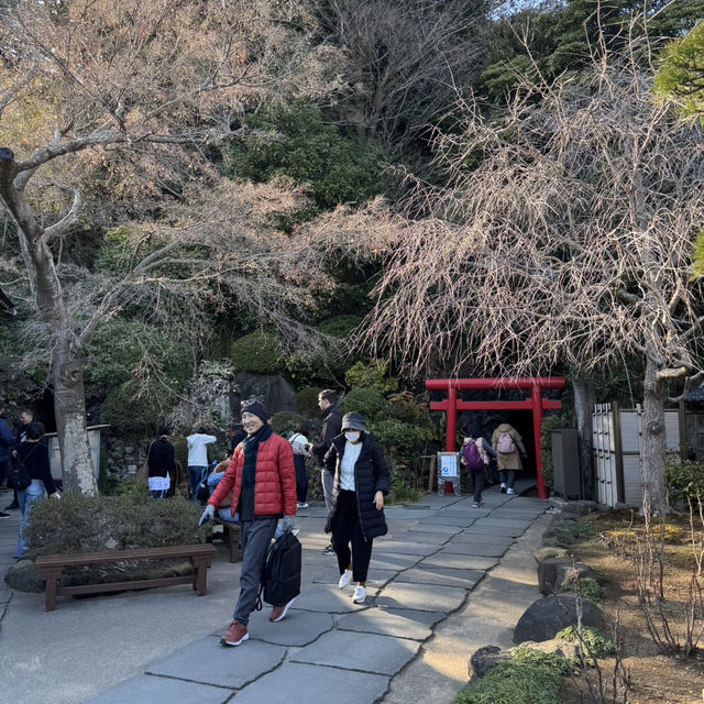  鎌倉の西方極楽浄土『長谷寺』