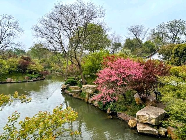 煙花三月下揚州，江南必遊瘦西湖 Slender West Lake