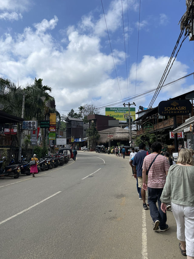 【スリランカ】エラをぶらり街歩き🇱🇰