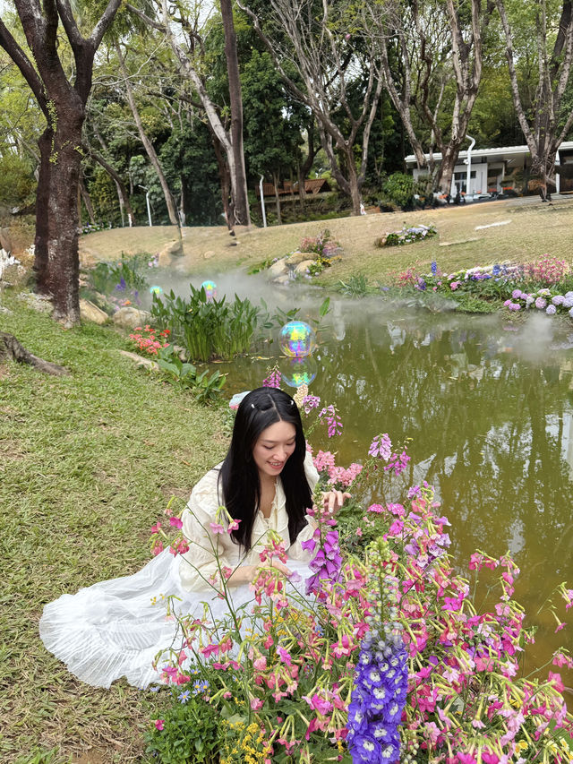 🫧🪻💐莫奈花園🌷🌺 🫧油畫一樣咁靚🖼️