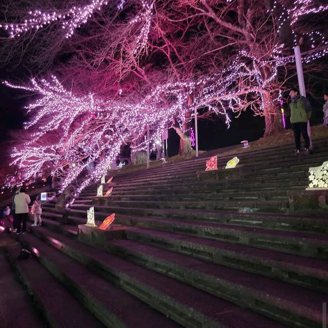 Ogawara Riverside Park (大河原町さくら堤公園)