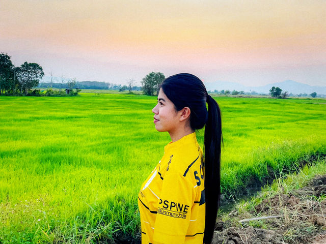 ชมพระอาทิตย์ตกกลางทุ่งนาเขียวขจี ที่บ้านน้ำชำ แพร่