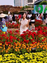 🌸 Spring Blossoms in Vietnam