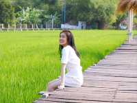 พักผ่อนใกล้กรุงฯ กับคาเฟ่วิวดงตาล 🌴🤩