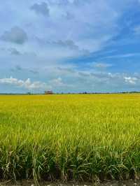 How to spend 2 days in Kuala Selangor