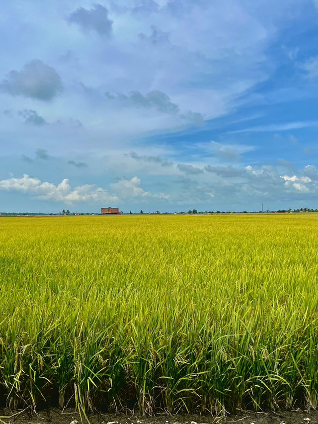 How to spend 2 days in Kuala Selangor