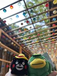 掘蕃薯釣鯛魚護身符的川越冰川神社⛩️🥰