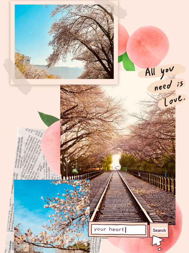 A Must-Visit for Train and Nature Lovers!
