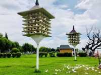 Blooming Beauty - Haigeng Park Kunming in Spring