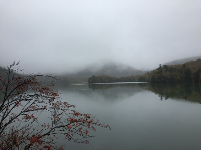 ชิลกลางสายหมอก พักใจกลางธรรมชาติที่ Yuno Lake
