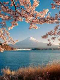 "Mount Fuji: Japan’s Eternal Symbol of Beauty and Strength"