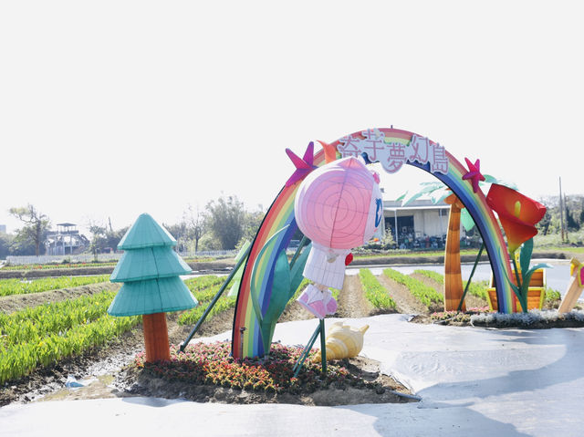 桃園｜桃園秘境花海 溪海花卉園區必玩亮點，賞花、看飛機、親子同樂一次滿足
