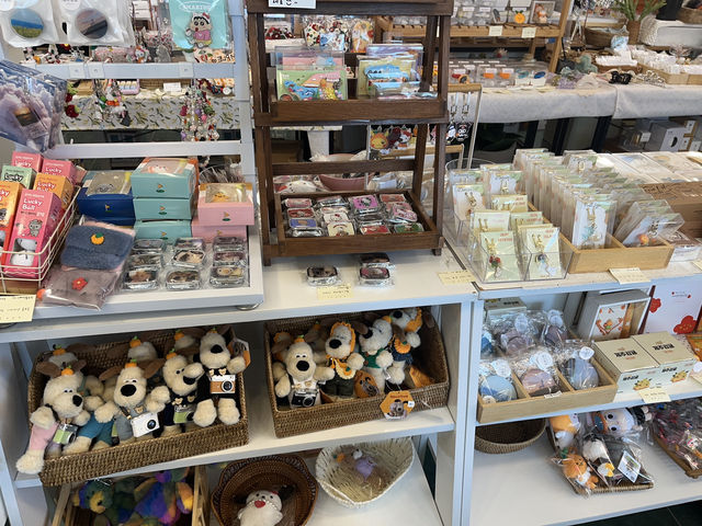 제주 동쪽 1박 2일 뚜벅이 코스🍰 세화해변에서 공항까지✈️