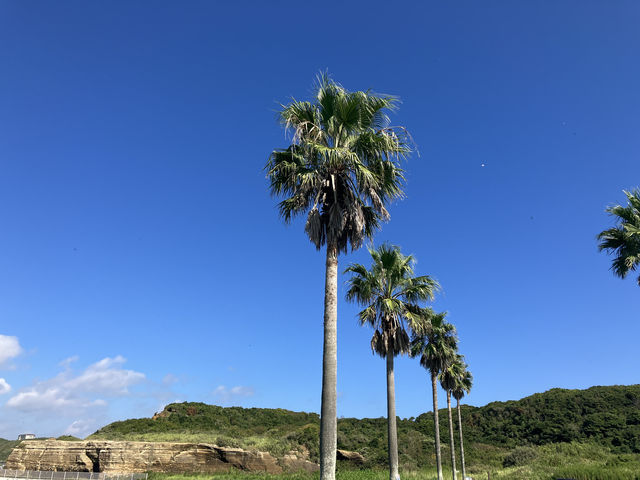 まるで海外！　風光明媚な銚子マリーナ周辺