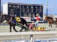 【北海道・帯広】観光としても楽しめる競馬場🏇