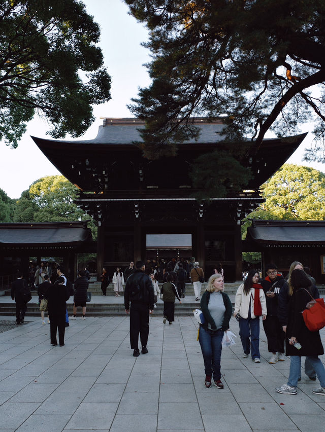 Meiji Shrine ศาลเจ้าแห่งความสงบใจกลางโตเกียว
