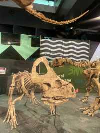 【メルボルンの歴史と自然を体感「Melbourne Museum」🦖✨】
