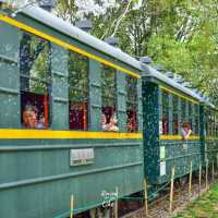แวะไปถ่ายรูปสวยๆสวนรถไฟกับซากุระสีชมพูน่ารัก 