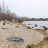 Ilsan Lake Park – A City Retreat in Full Bloom