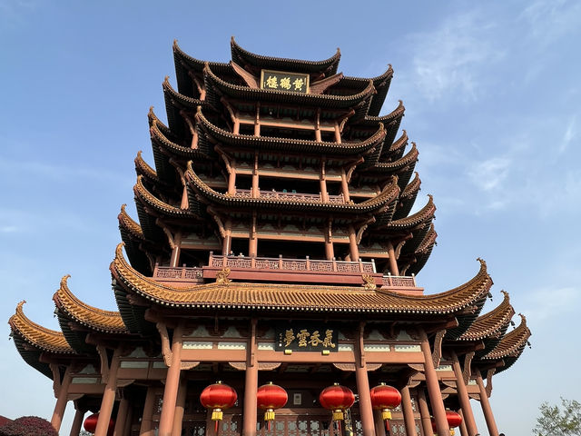賞櫻不只有日本，武漢東湖賞櫻去🌸