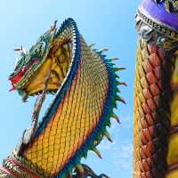 พญาสิงห์ทองนาคราช