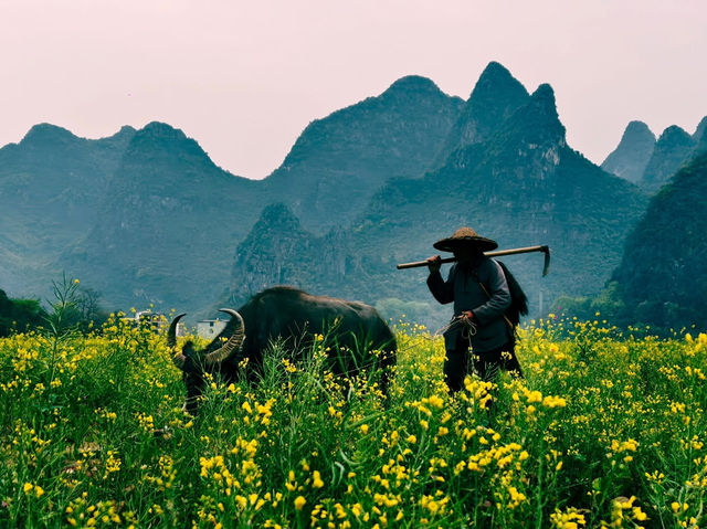 Chasing Rural Charm: Visiting Guilin’s Picturesque Zhuangyuan Bridge