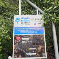 🎄ป่าชายเลนกลางเมือง | ปอดของคนระยอง 🏞