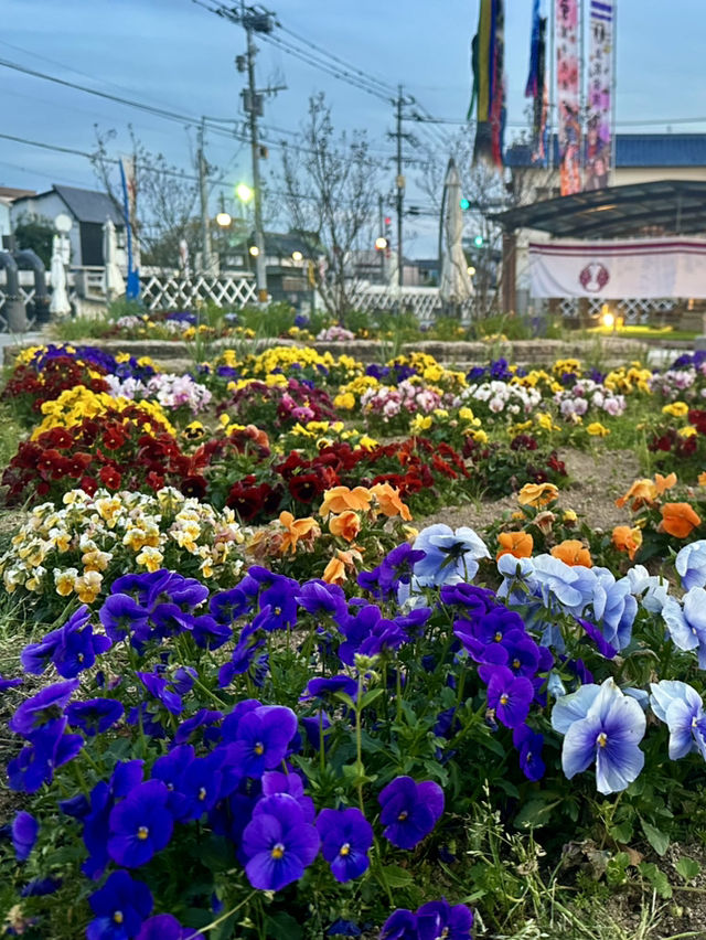 柳川~你会爱上的小镇
