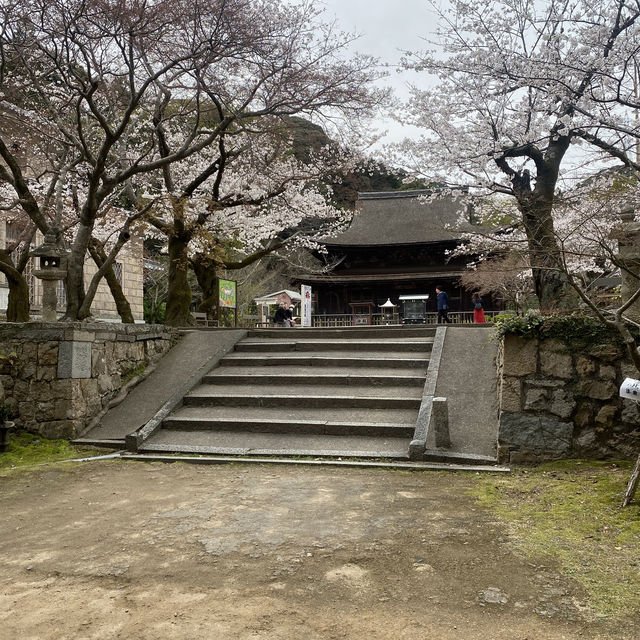 【山口県下関市長府🇯🇵功山寺】見どころたくさん☺️長府巡り