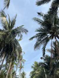 นั่งเล่นกินข้าวริมทะเลหาดบางแสนกับครอบครัว