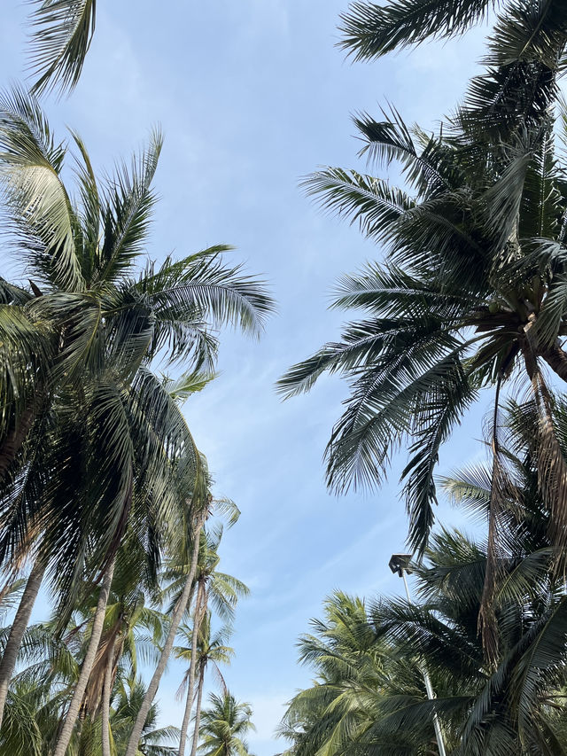 นั่งเล่นกินข้าวริมทะเลหาดบางแสนกับครอบครัว นั่งเล่นกินข้าวริมทะเลหาดบางแสนกับครอบครัว