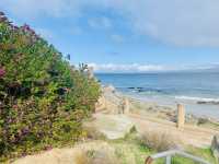 Spring Serenity at Monterey Beach