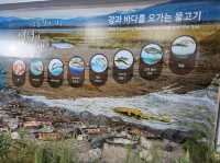 제주해양동물박물관