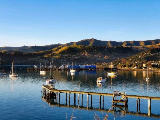 Akaroa – A Hidden Gem with Gorgeous Sunset🌄