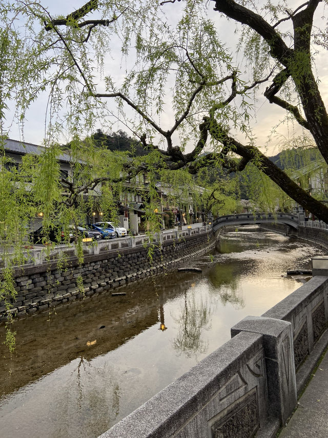 Kinosaki Onsen in Full bloom 