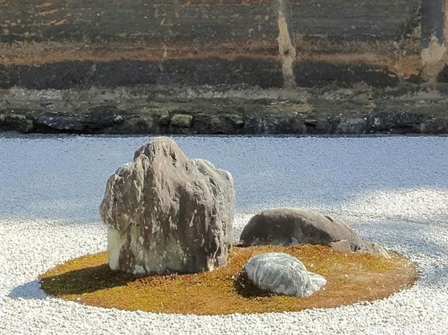 京都龍安寺，櫻花與禪風枯山水結合的美妙庭園