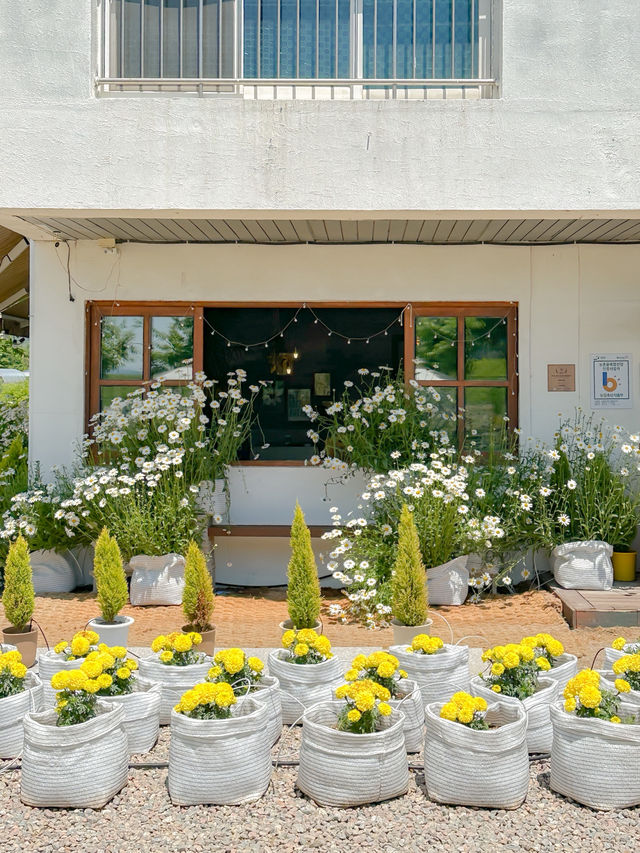 여기선 시간도 천천히 흐르는 기분…🕰️💫