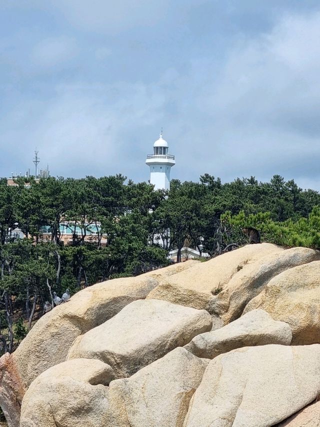날씨 좋은 날 산책 장소로 딱, 대왕암 공원🌳