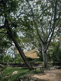 🏝🏝คาเฟ่สุดชิล ท่ามกลางธรรมชาติ☕️☕️