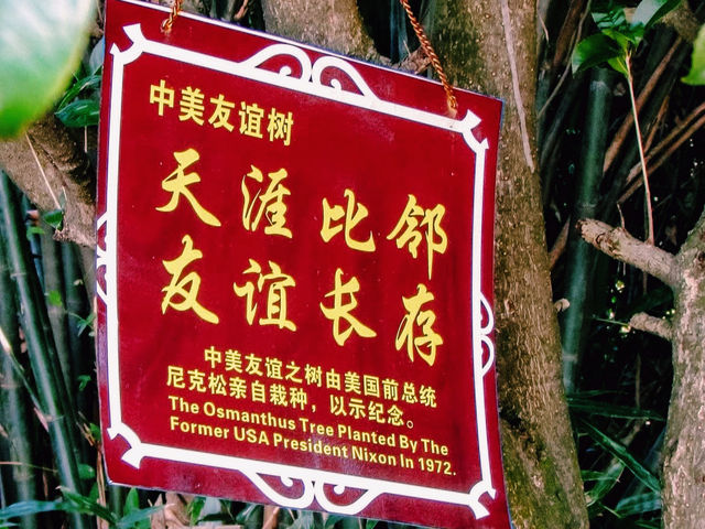 🇨🇳:桂林の天空スポット！