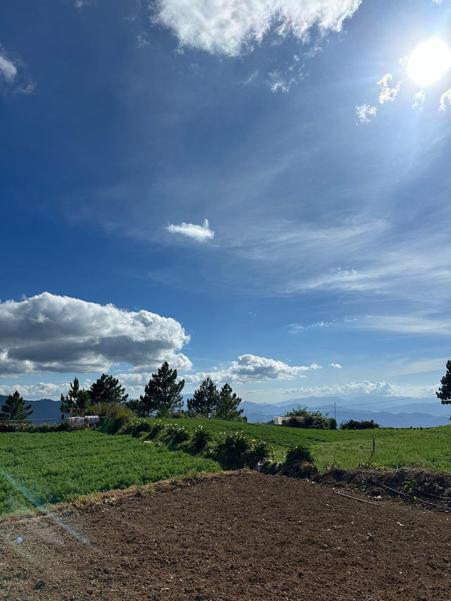 A Village Full of Peace