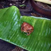 Réserve Peyrieras Madagascar Exotic｜近距離認識馬達加斯加生物