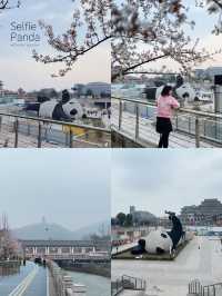 One day trip เที่ยวตูเจียงเยี่ยน, เฉิงตู