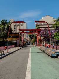 【São Pauloのおすすめ観光地 10選】
