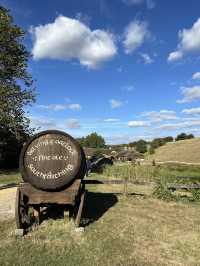 Step Into the Shire: Explore the Magic of Hobbiton
